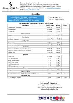 STERILIZE LOT 0667 (2023-09-04)